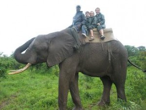 Zimbabwe_ElephantRide