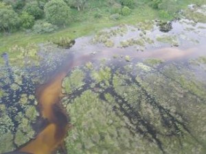 OkavangoDelta_byAir