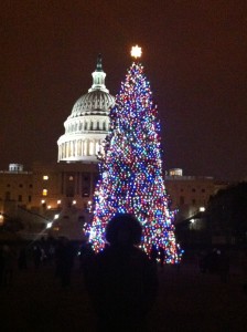 Christmas Night in Washington DC